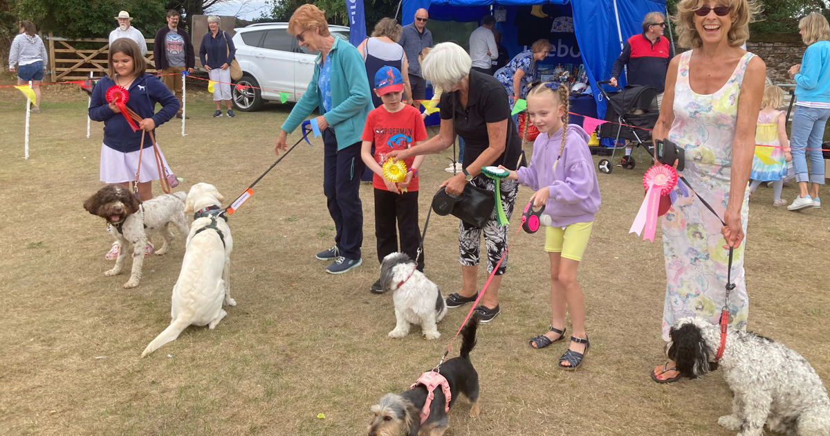 Dog show wb 8 Dog show wb 8