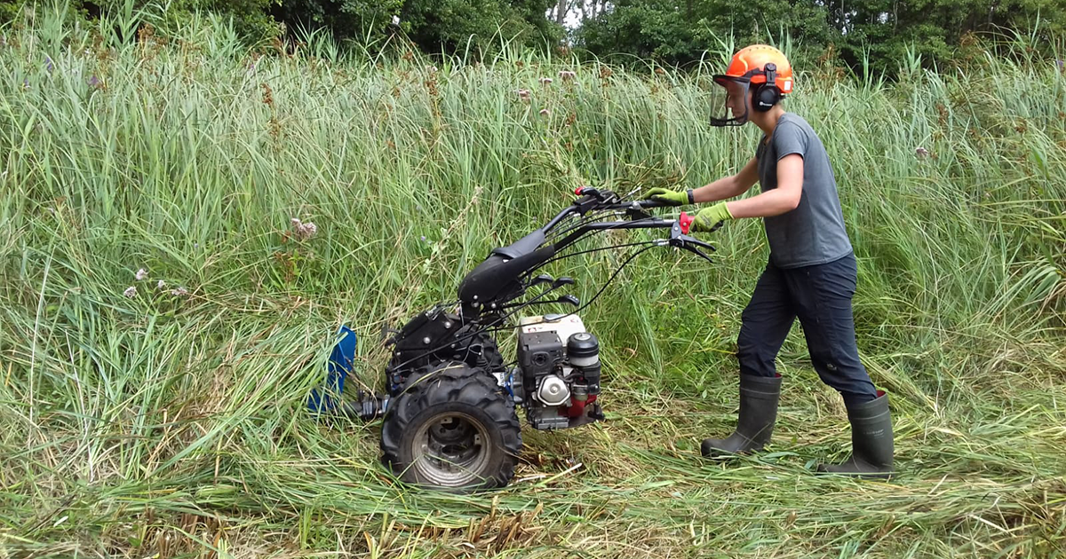 Future Professionals scheme 202122 Ellie Stradling Fen Mowing credit NWT