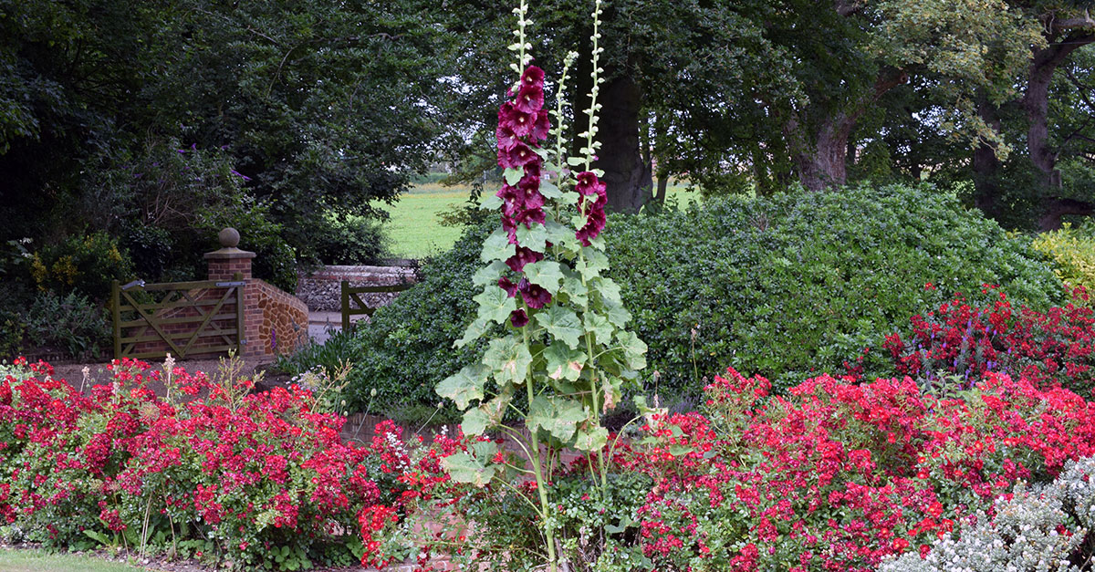 Gardens flars