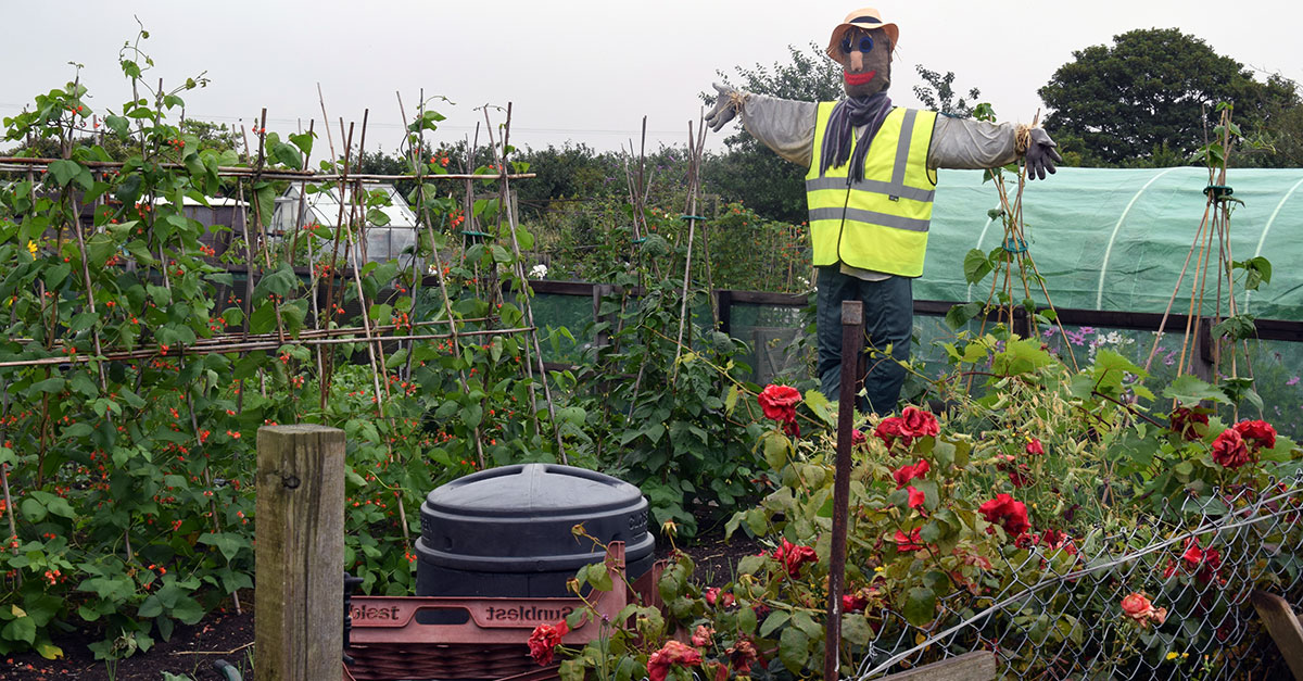 Allotments6 Allotments6