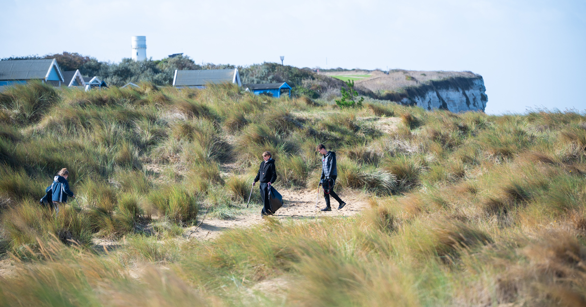 Beach clean web 1