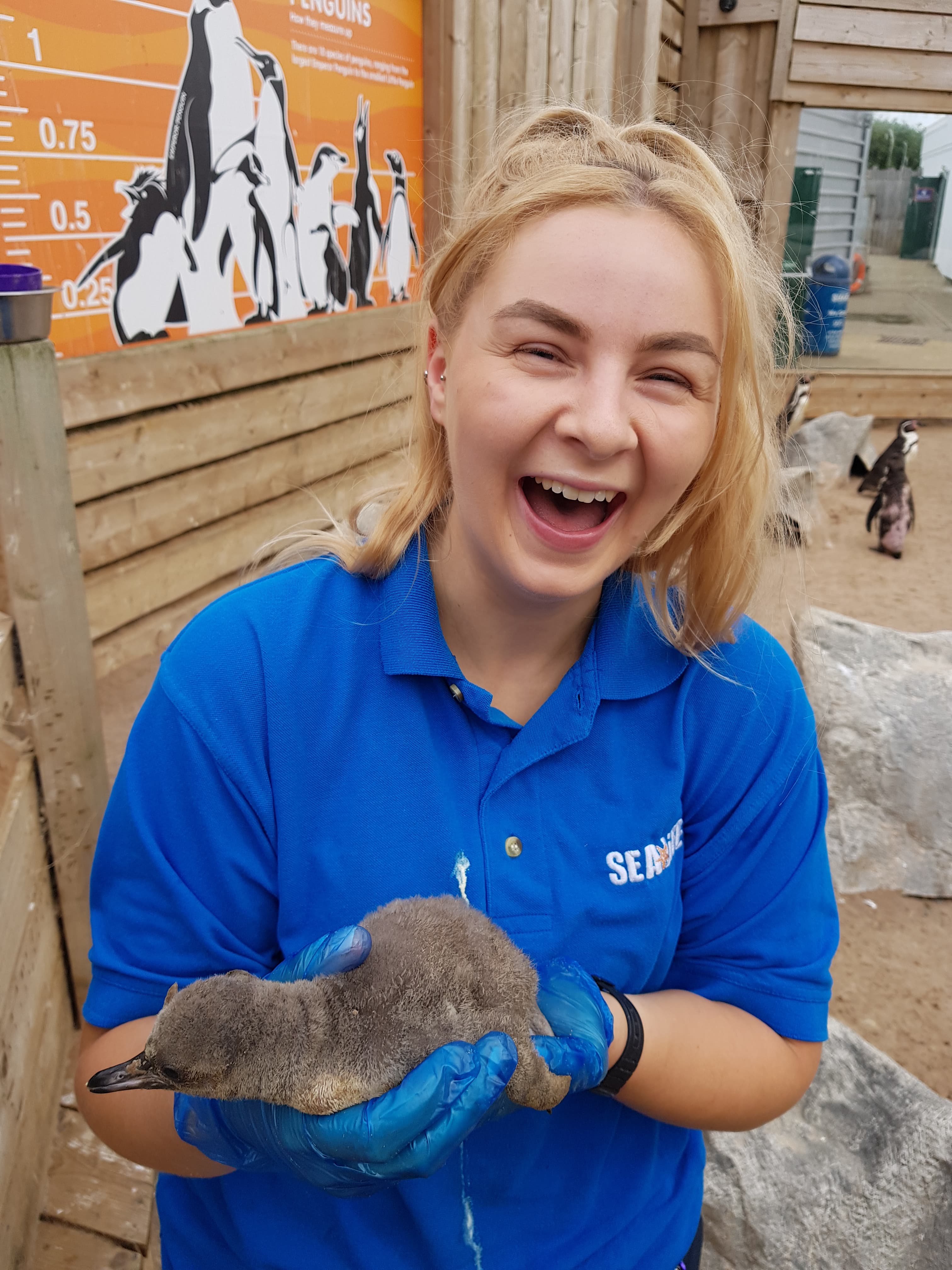 Lucy and penguin chick