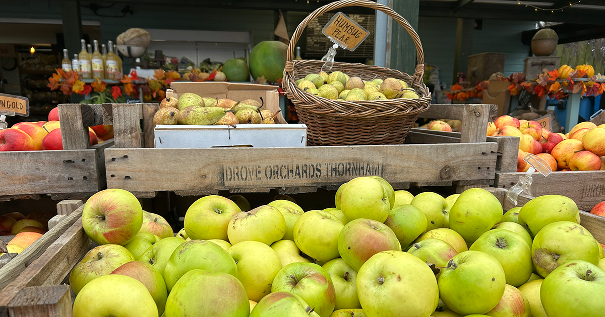 WEB produce