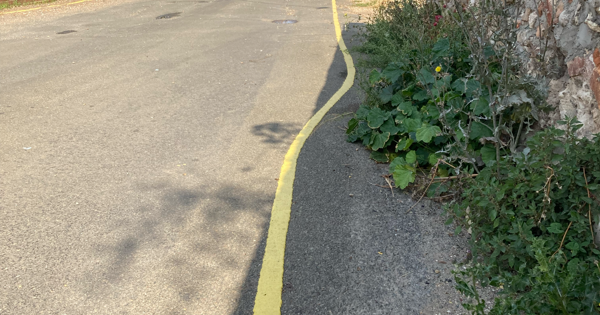 Yellow lines web 6
