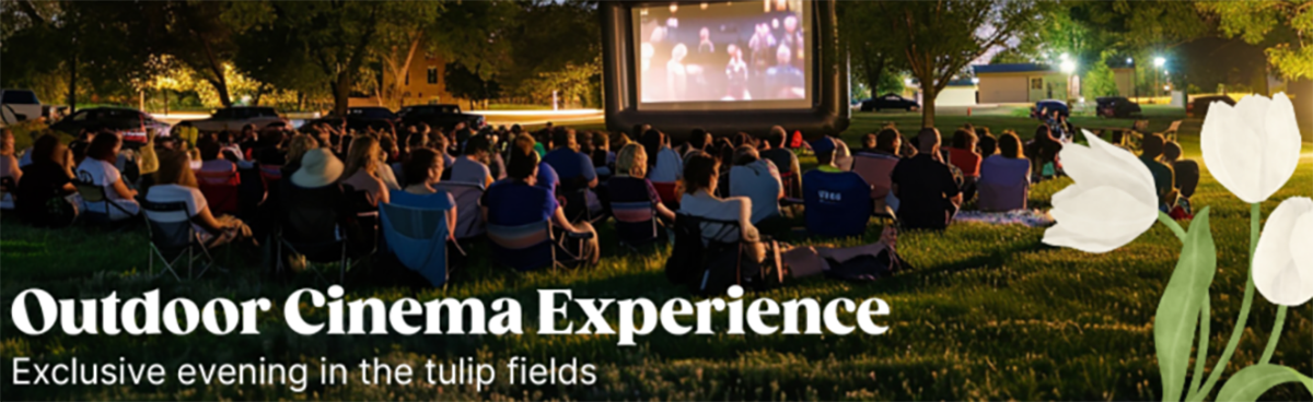 Outdoor Cinema Experience Tapping House Outdoor Cinema Experience Tapping House