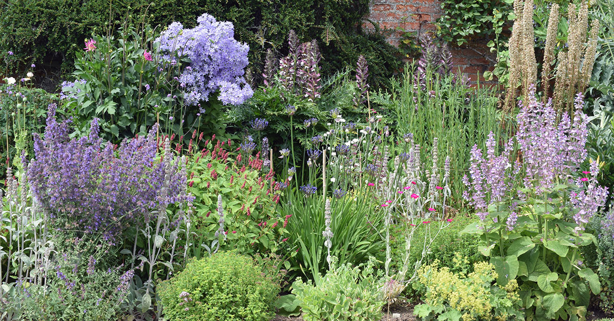 Ringstead open gardens