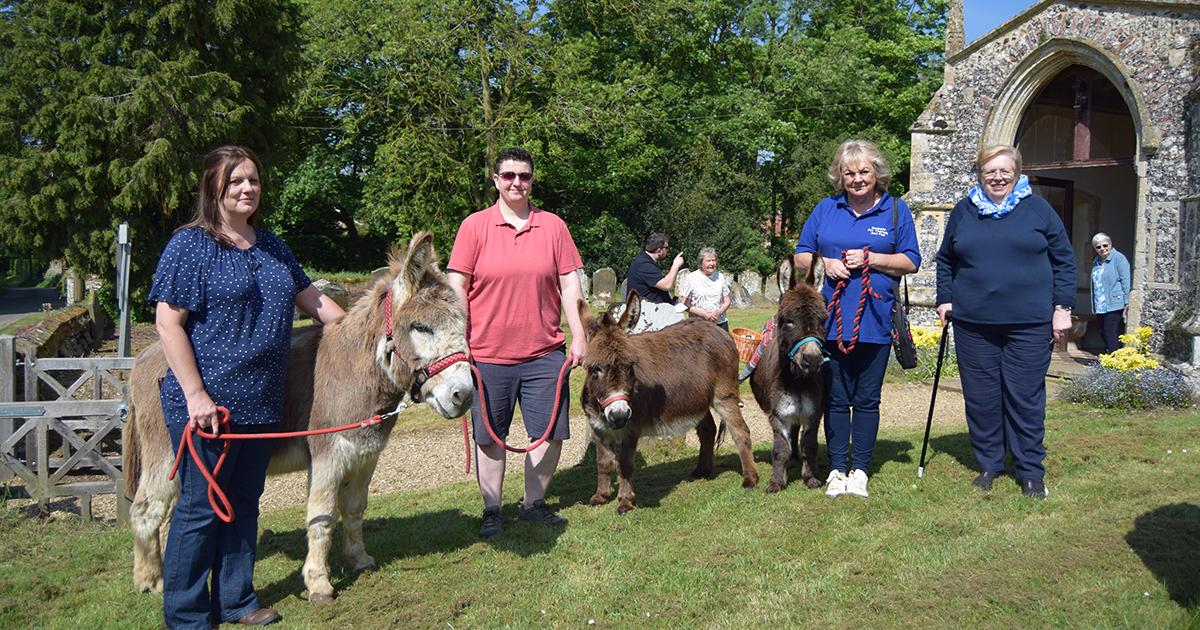 WEB 0718 donkeys and Rosemary