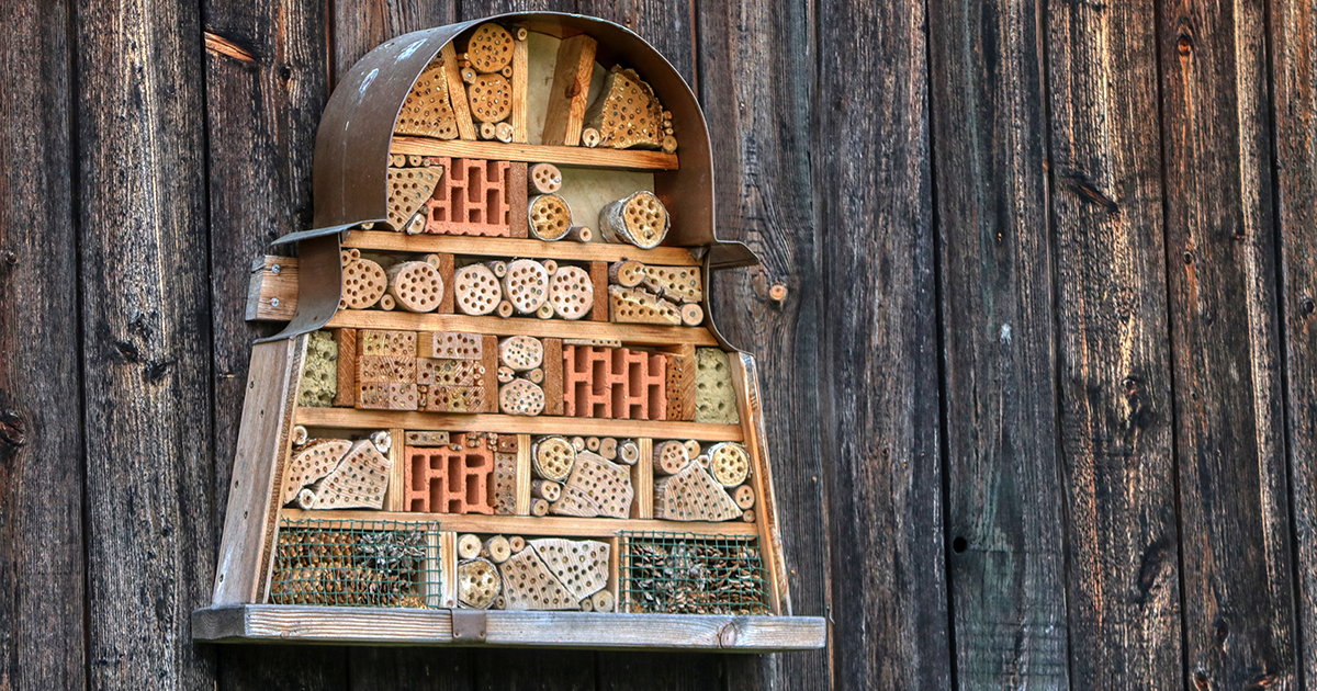 WEB bee hotel WEB bee hotel