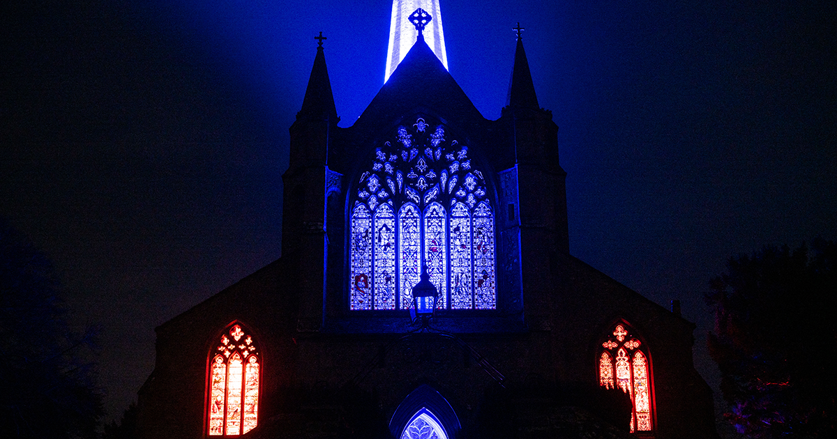 WEB lights 24