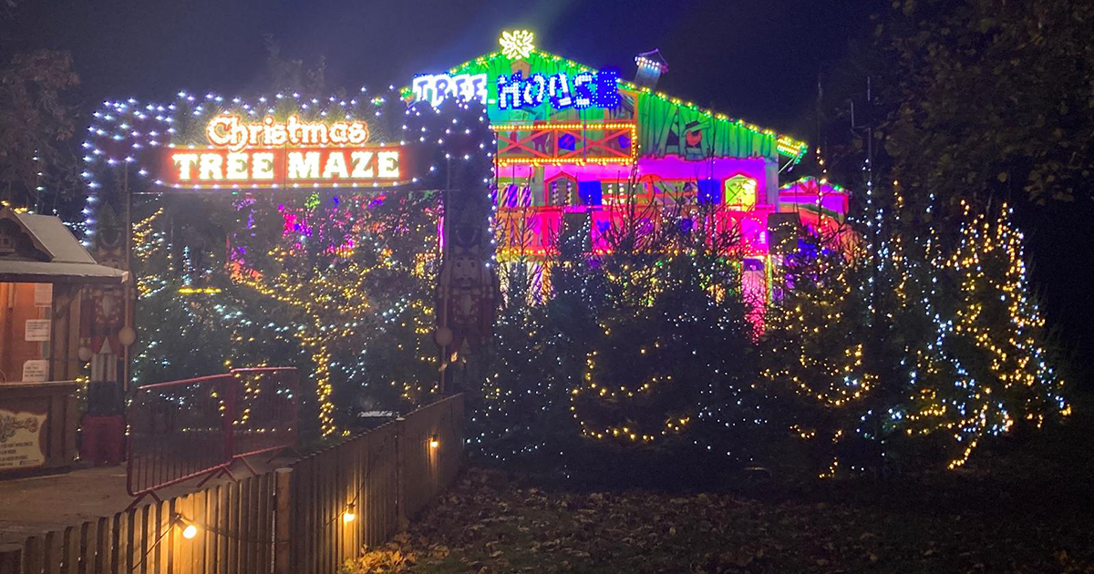WEB lum 11 WEB lum 11