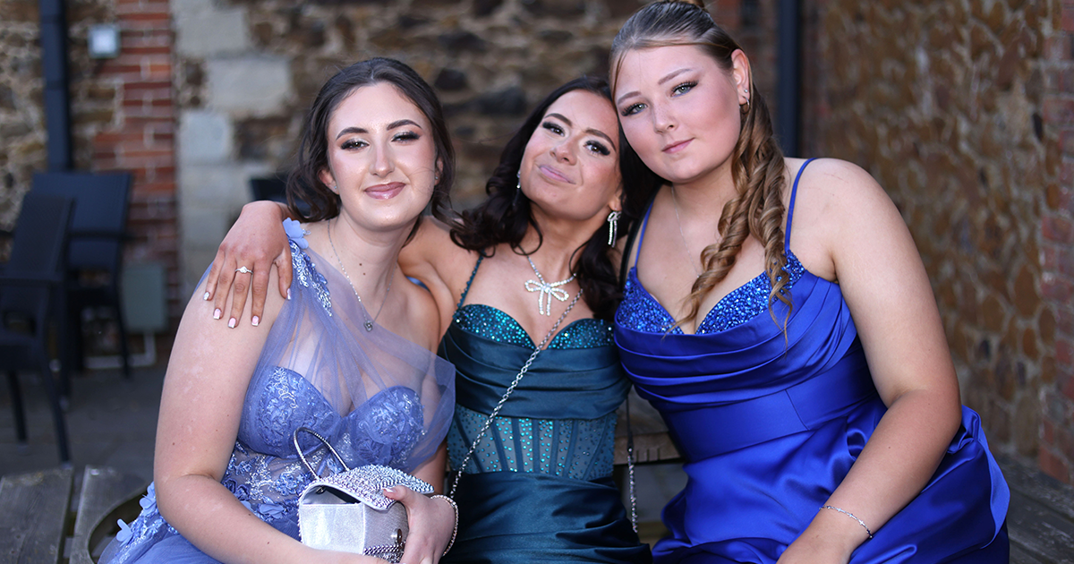 WEB Prom 6340