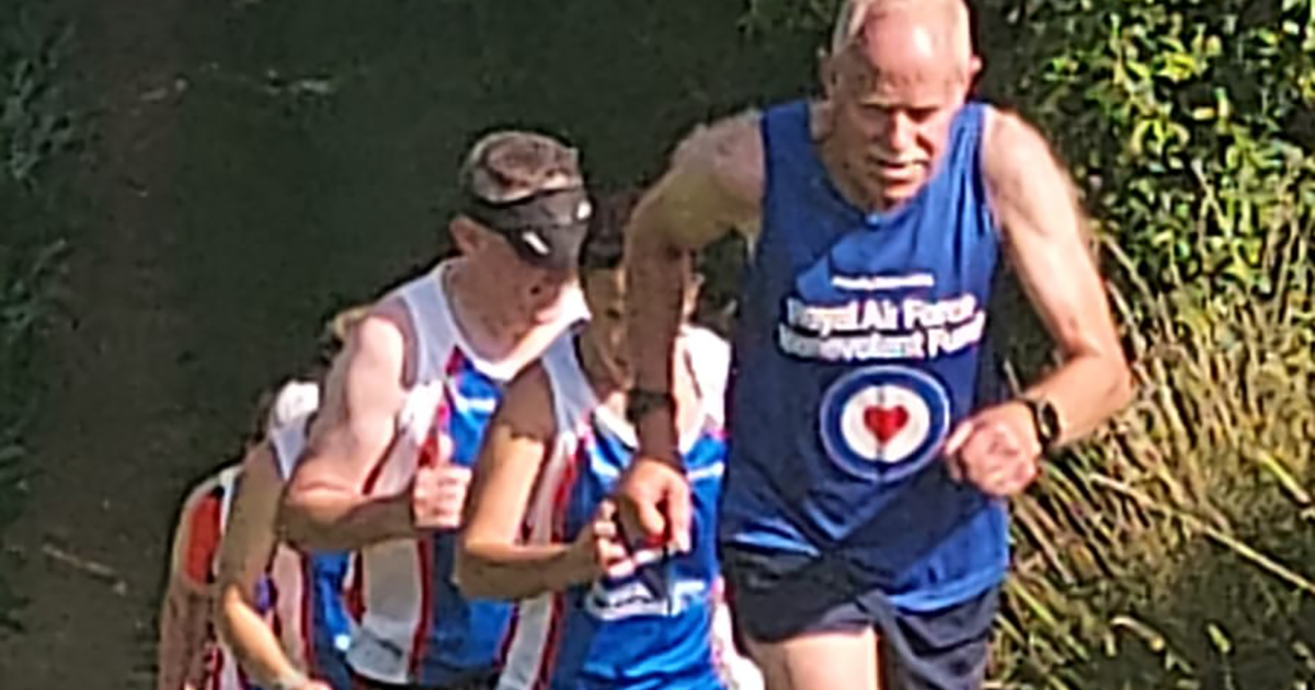 WEB runners WEB runners