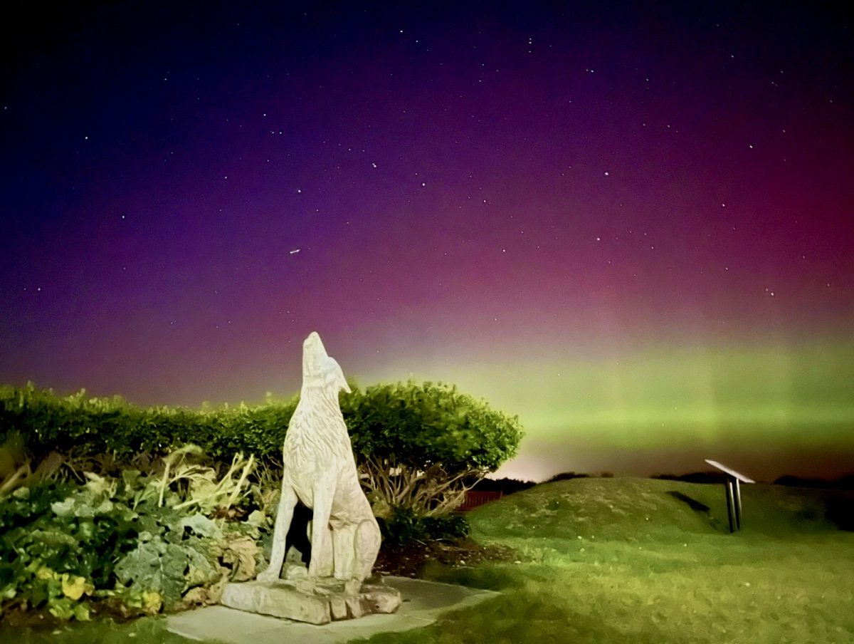 Northern Lights put on a spectacular show over Norfolk skies