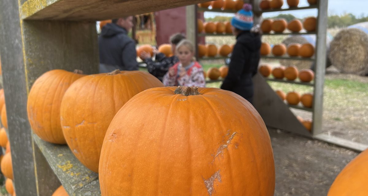 Have a fa-BOO-lous Halloween!