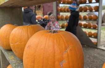 Have a fa-BOO-lous Halloween!