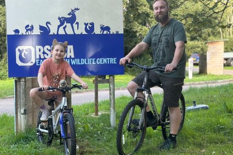 From rescuing baby jackdaws to a 70-mile bike ride for Sophia