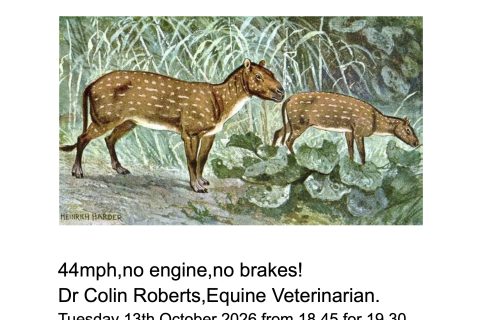 44mph,no engine,no brakes!